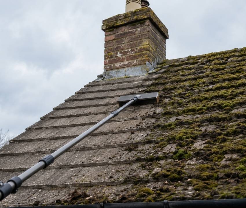 What Our Roof Cleaning and Moss Removal Service Covers