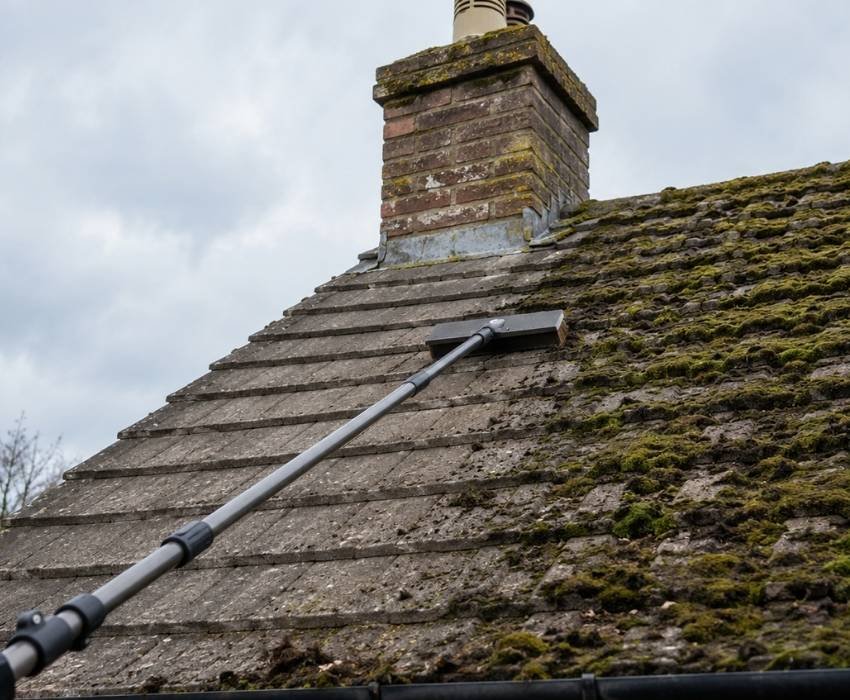 Why Wheldrake’s Wet Climate Makes Roof Moss Removal a Routine Job, Not a One-Off